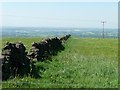 SK0450 : Tumbledown wall near Swineholes Wood by Christine Johnstone