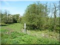 SJ9950 : Gated railway crossing near Turner's Knipe by Christine Johnstone