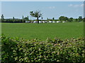 SJ8014 : Caravan Club site at Wyndford Mill farm by Richard Law