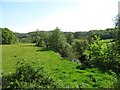 SK0246 : The River Churnet east of Banktop Woods by Christine Johnstone