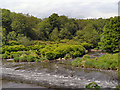 SD7406 : River Croal Weir, Moses Gate Country Park by David Dixon