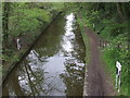 SP9412 : Grand Union Canal, Tring by Malc McDonald