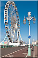 TQ3103 : The Brighton Wheel and a lamppost by Ian Capper