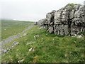 SD7672 : Limestone Outcrops on Long Scar by Chris Heaton