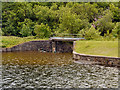 SJ9898 : Walkerwood Reservoir, Outflow by David Dixon