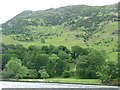 NY3917 : Grassy shore of Blowick Bay, Ullswater by Christine Johnstone