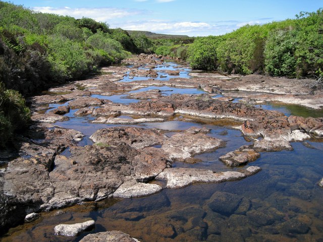 Easy crossing today