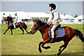 SJ7077 : Pony Club Games at the Cheshire Show by Jeff Buck