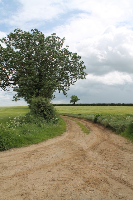 Farm track at Junction of Hall Lane and Folly Lane