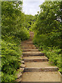 SD9901 : Steps, Cowbury Dale by David Dixon