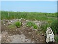 TA1072 : Remains of a garden, south of The Sheepwalks by Christine Johnstone