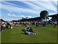 TL6161 : The July Course, Newmarket - Lazing around in the sun by Richard Humphrey