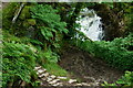 SH6504 : Looking Down to the Dolgoch Falls, Gwynedd by Peter Trimming