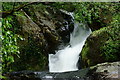 SH6504 : The Dolgoch Falls, Gwynedd by Peter Trimming