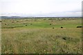 SS4536 : Saunton Golf Course, Braunton Burrows by David P Howard