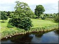 NS7994 : The River Forth by Mary and Angus Hogg