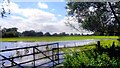 SU5997 : Small Summer Flood by Des Blenkinsopp