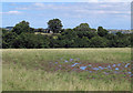 NZ1329 : Waterlogged ground of field above Linburn Beck by Trevor Littlewood