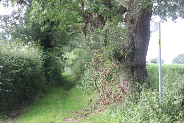 Bridlepath off Peover Lane