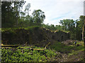 NS7690 : Craigend Lime Kilns by Karl and Ali