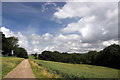 SJ9663 : Hollinhall driveway and cornfields by Peter Turner