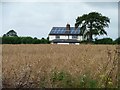 SK8502 : Oilseed rape, ready for harvest by Christine Johnstone