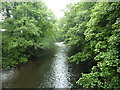 SK3255 : Tree lined view of the River Derwent by Andrew Hill