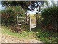 TM3976 : Swan Lane footpath by Geographer