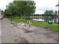 W6670 : Cork Lough with wild fowl feeding by David Hawgood