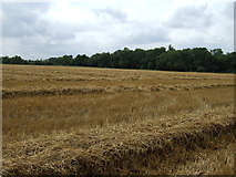  : Farmland off Green Lane by JThomas