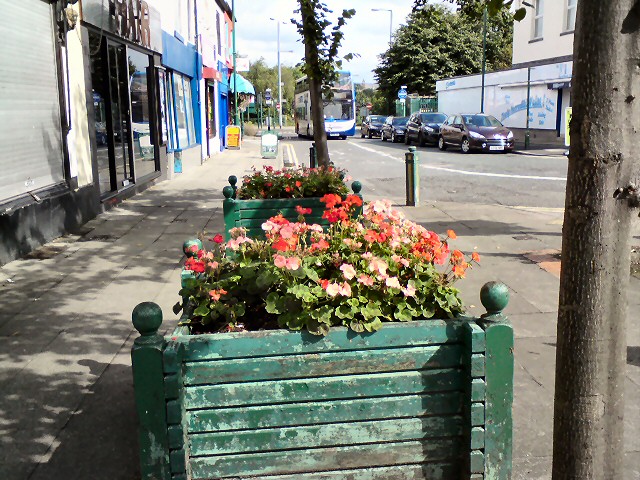 Old planters on Clarendon Place