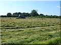 SP1565 : Haymaking near Edge Lane by Nigel Mykura