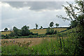 SP6486 : Arable land east of Bosworth Gorse by Stuart Logan