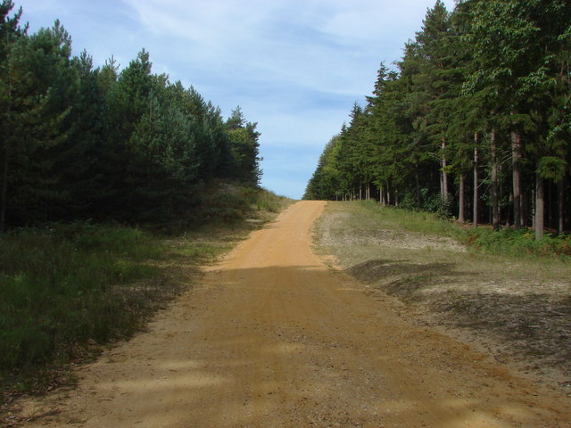 The Old Bracknell Road