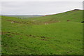 SH9045 : Grazing land above Cwm Penanner by Philip Halling