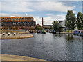 SJ8598 : Rochdale Canal, New Islington Marina by David Dixon