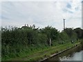 SO9465 : Starlings rising from the telegraph wires by Christine Johnstone