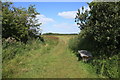 TL5570 : Verrall's Drove and bench seat, Sedge Fen by Rob Noble