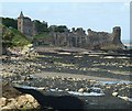 NO5116 : St Andrews - Castle from St Mary's ruin by Rob Farrow