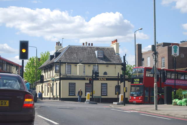 The Swan