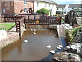 ST1629 : White ducks and a duck crossing, Bishops Lydeard Mill by Jaggery