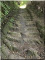 SH7400 : Roman Steps, Machynlleth by Derek Harper