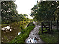 SJ9584 : Macclesfield Canal. Middlewood by David Dixon