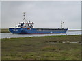 TF4926 : RMS LAAR near the mouth of The River Nene by Richard Humphrey