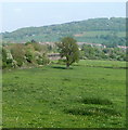 SO5112 : The Wye Valley Monmouth viewed from the B4293 by Jaggery