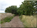 TL4294 : Footpath on the old railway track near March by Richard Humphrey