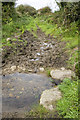 SW4228 : Stream crosses bridlepath by Elizabeth Scott