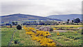 NJ0728 : Remnants of (original) Cromdale station, 1988 by Ben Brooksbank