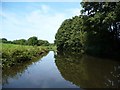 SO8378 : The Staffs and Worcs canal [1] by Christine Johnstone