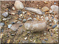 TF9844 : Exposed raised beach deposits by Norfolk coast by Hugh Venables